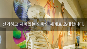 메디테리움 티켓 예매